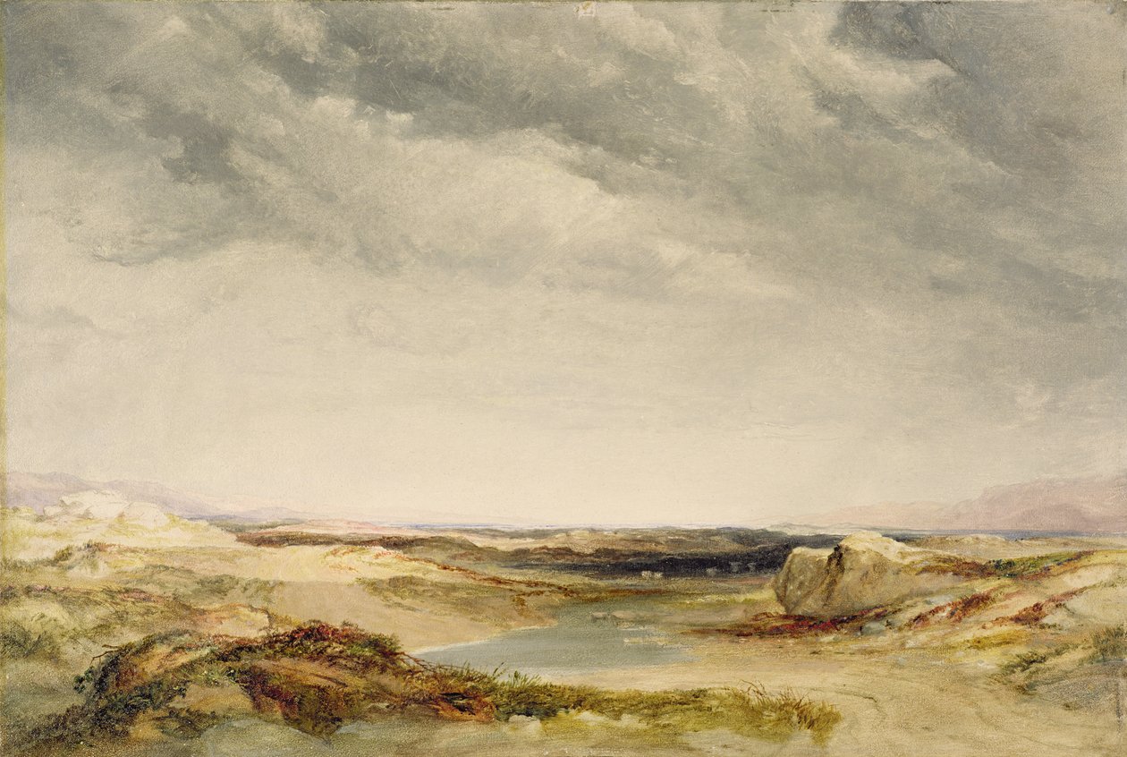 Vřesoviště poblíž pobřeží od Anthony Vandyke Copley Fielding