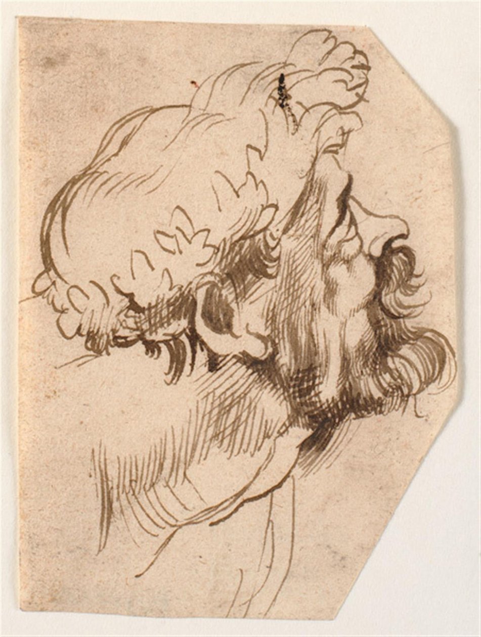 Hlava muže od Anthony van Dyck