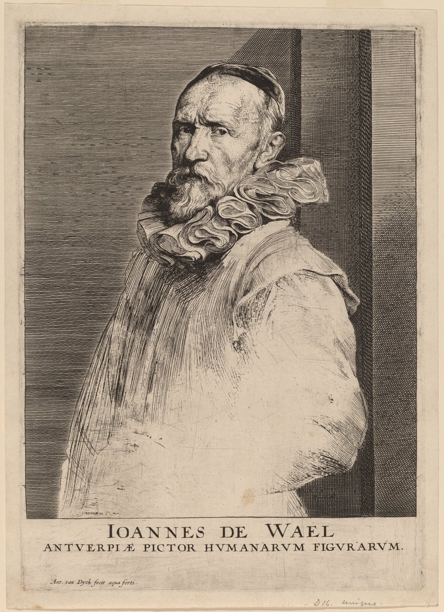 Pravděpodobně Jan de Wild od Anthony van Dyck