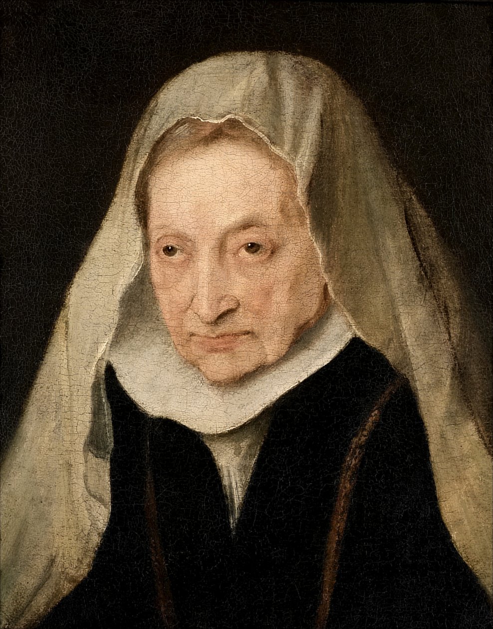 Sofonisba Anguissola (Cremona 1530/6-1625) od Anthony van Dyck