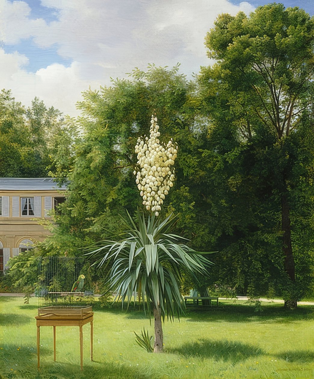 Palma yucca v parku Neuilly. 1845 od Antoine Chazal