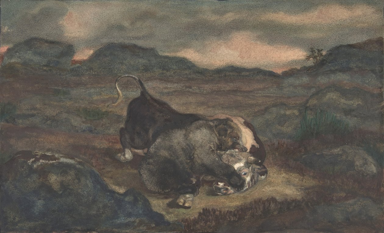 Bear Killing Bull, 1810-75. od Antoine Louis Barye
