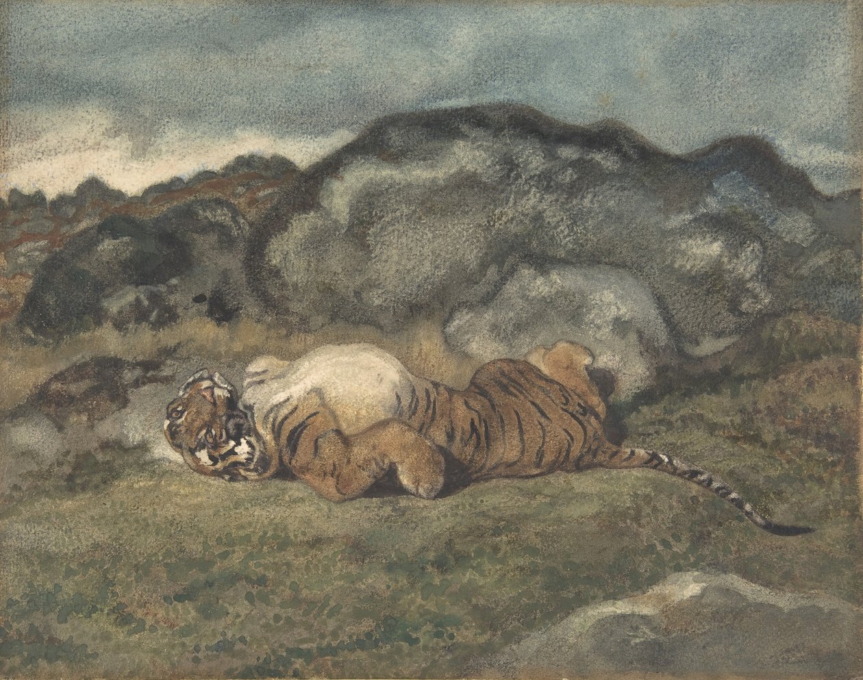 Tygr valící se na zádech, 1810-75. od Antoine Louis Barye