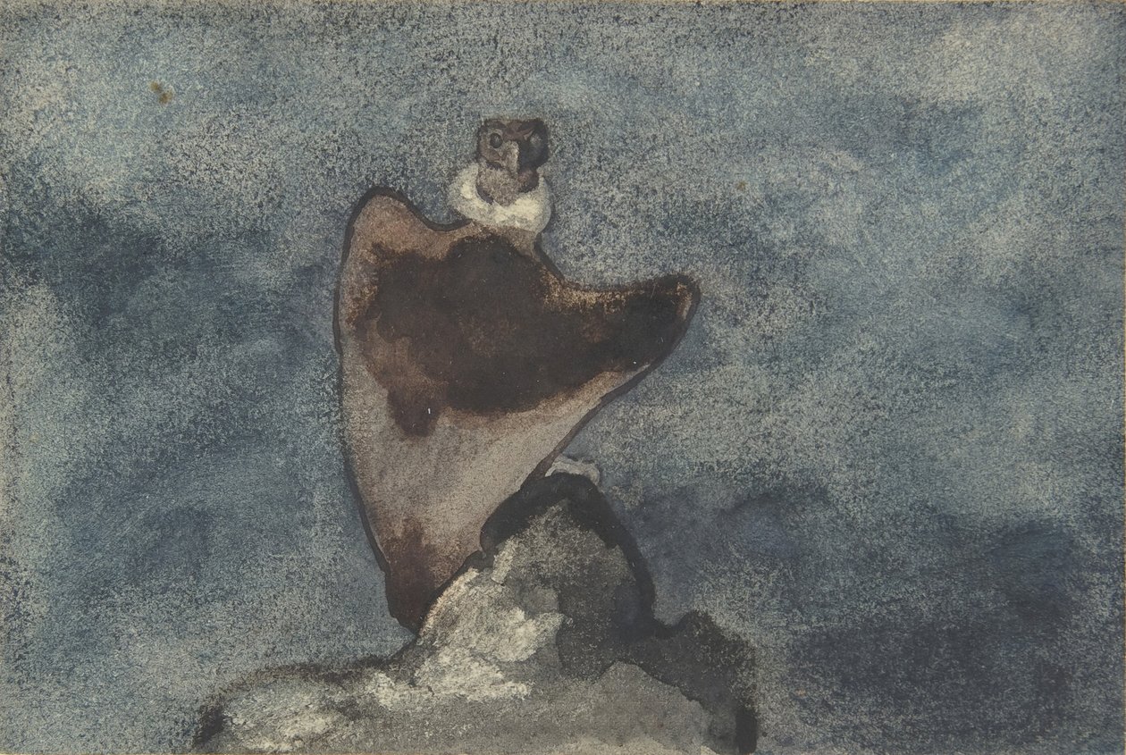Vulture, 1810-75. od Antoine Louis Barye
