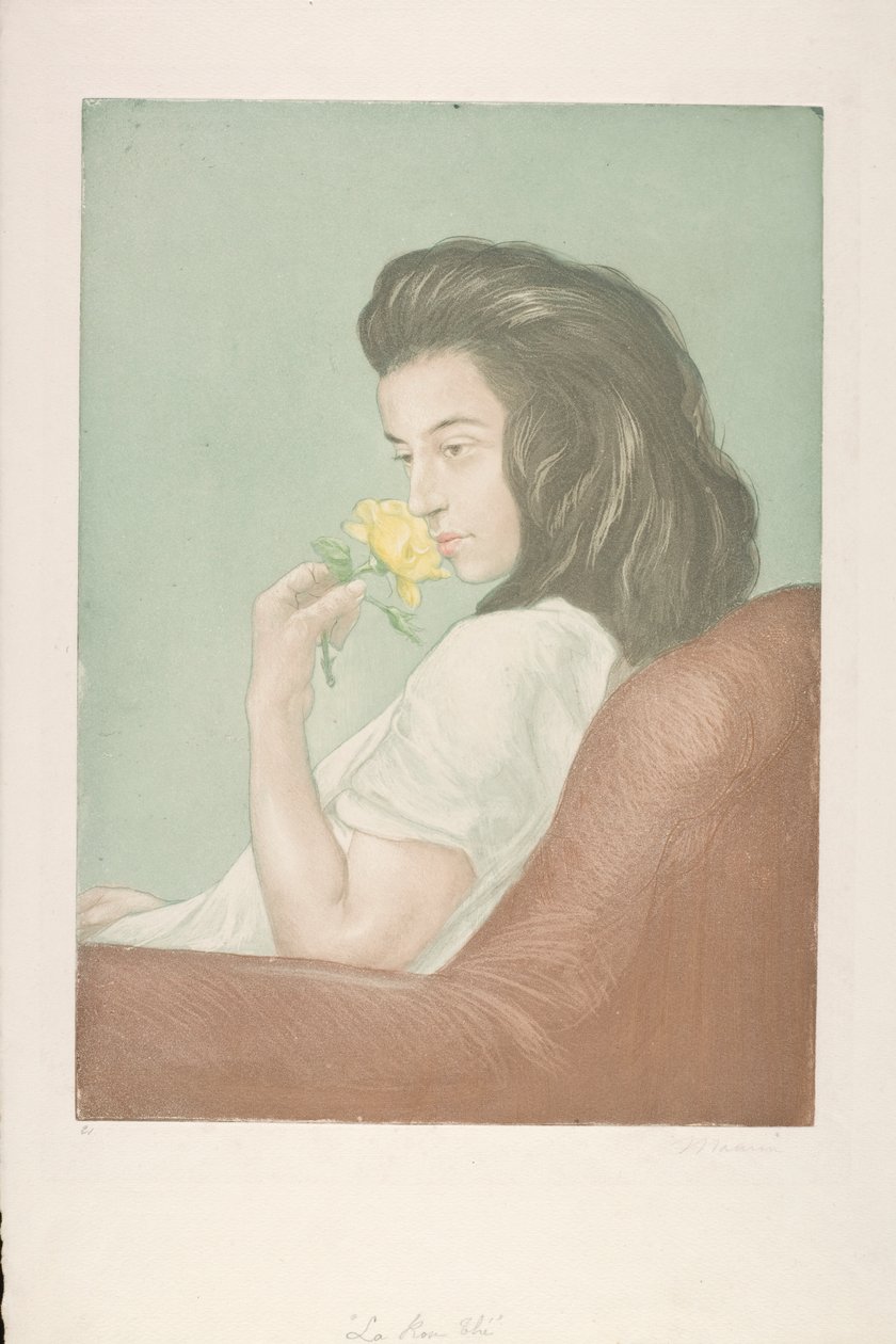 Čajová růže, cca 1900 (barevný lept) od Antoine Maurin