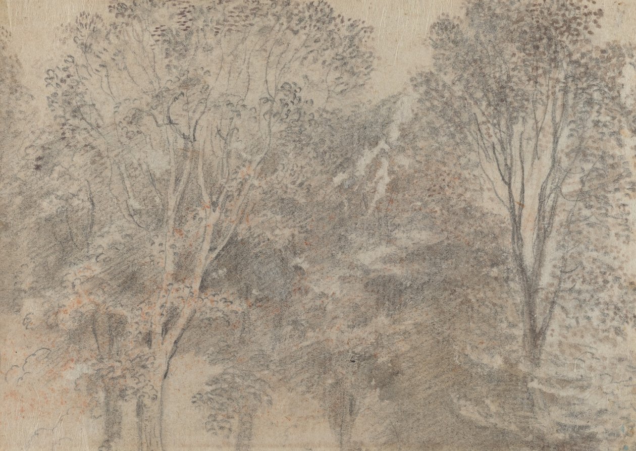 koruny stromů [verso] od Antoine Watteau