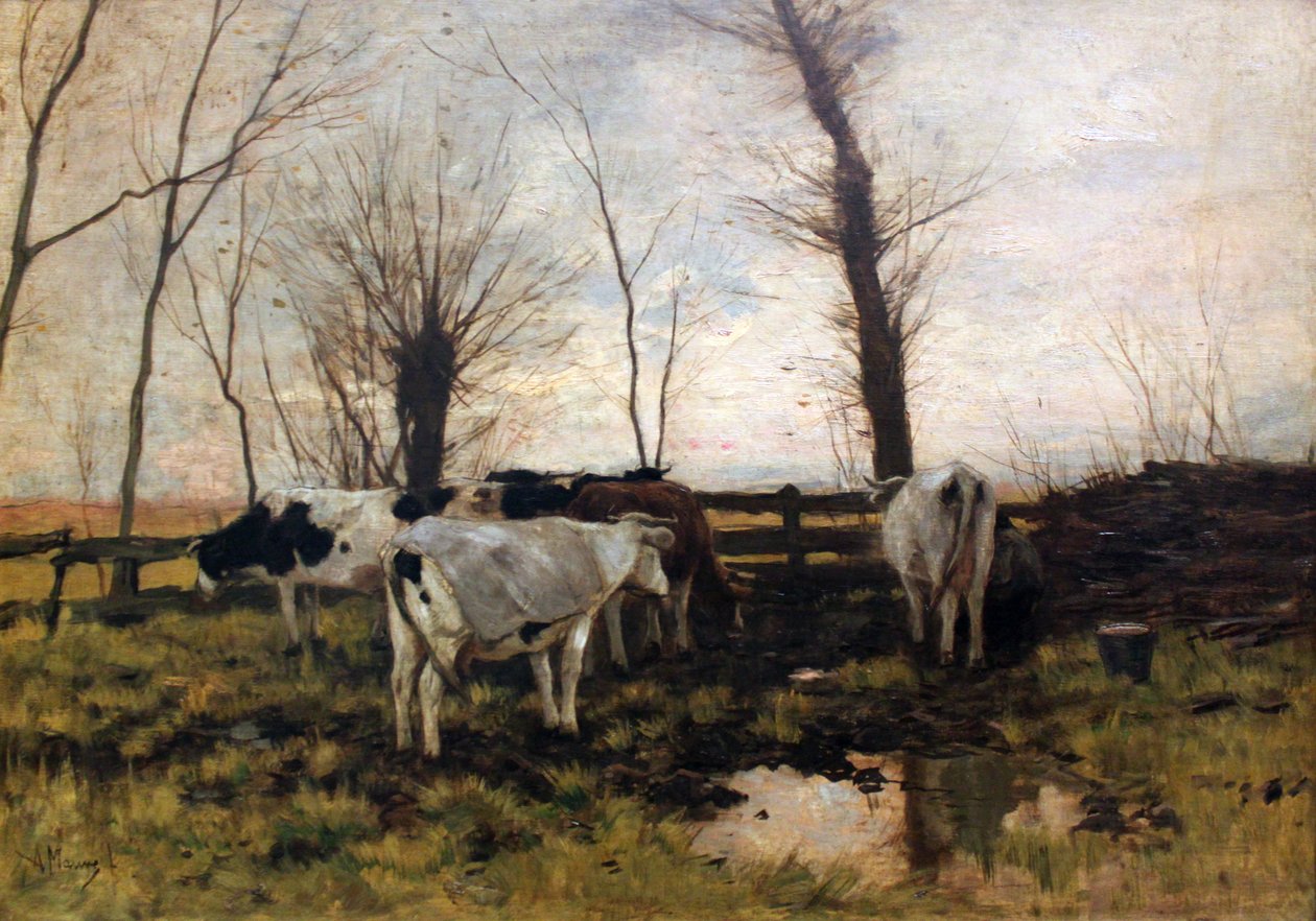 Krávy na pastvině od Anton Mauve