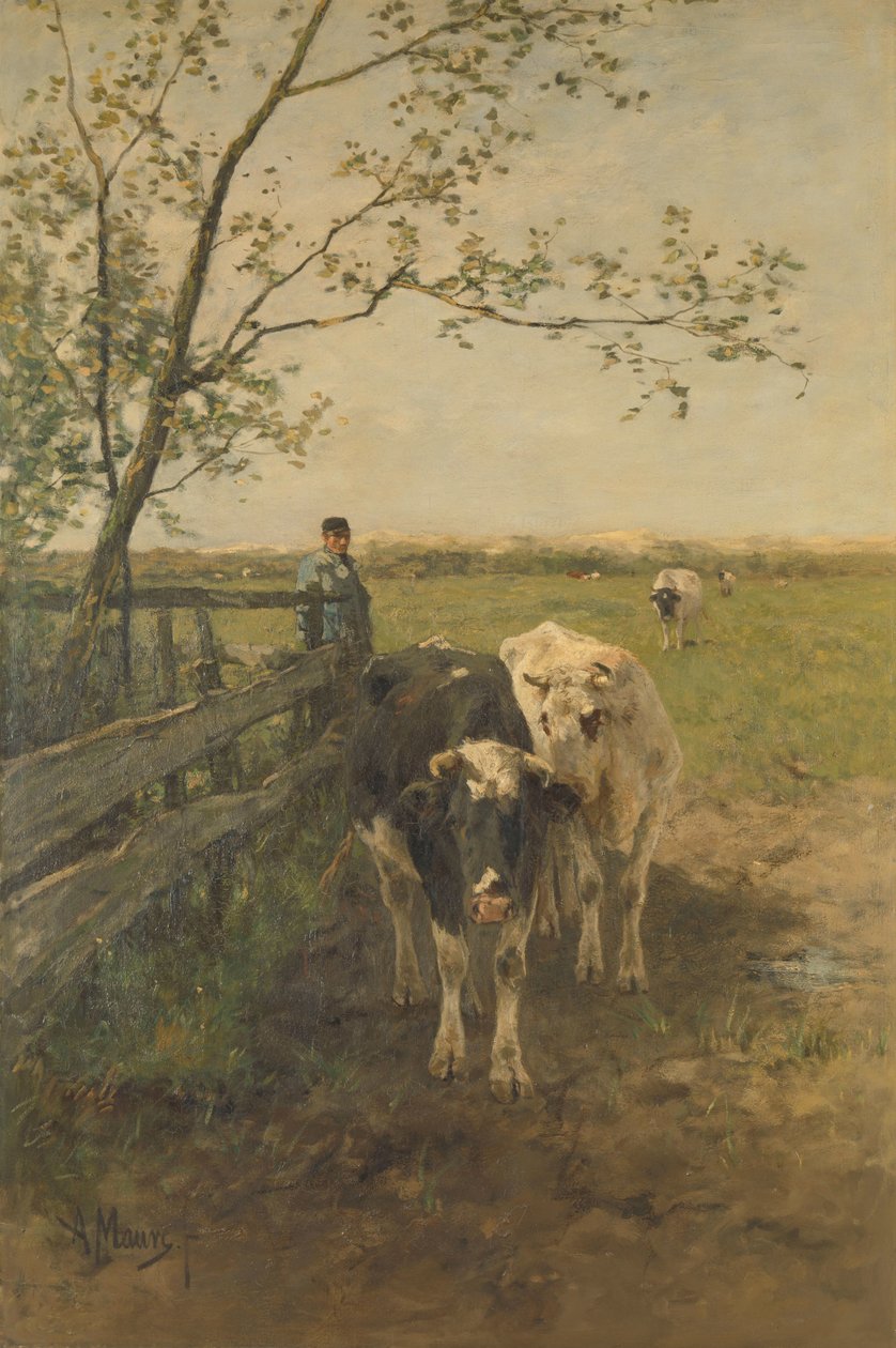 Mléčný ohyb od Anton Mauve