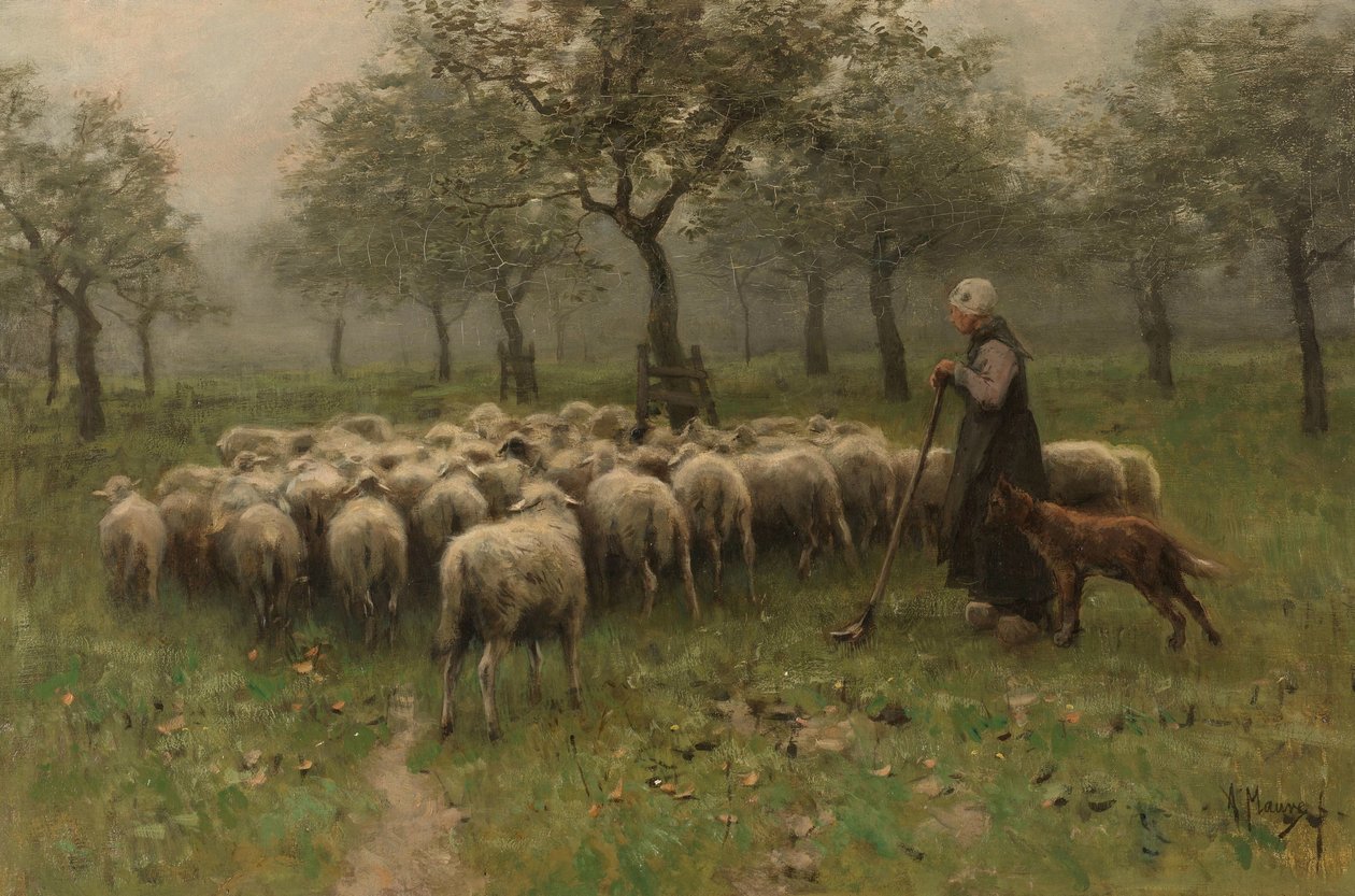 Pastýřka se stádem ovcí od Anton Mauve