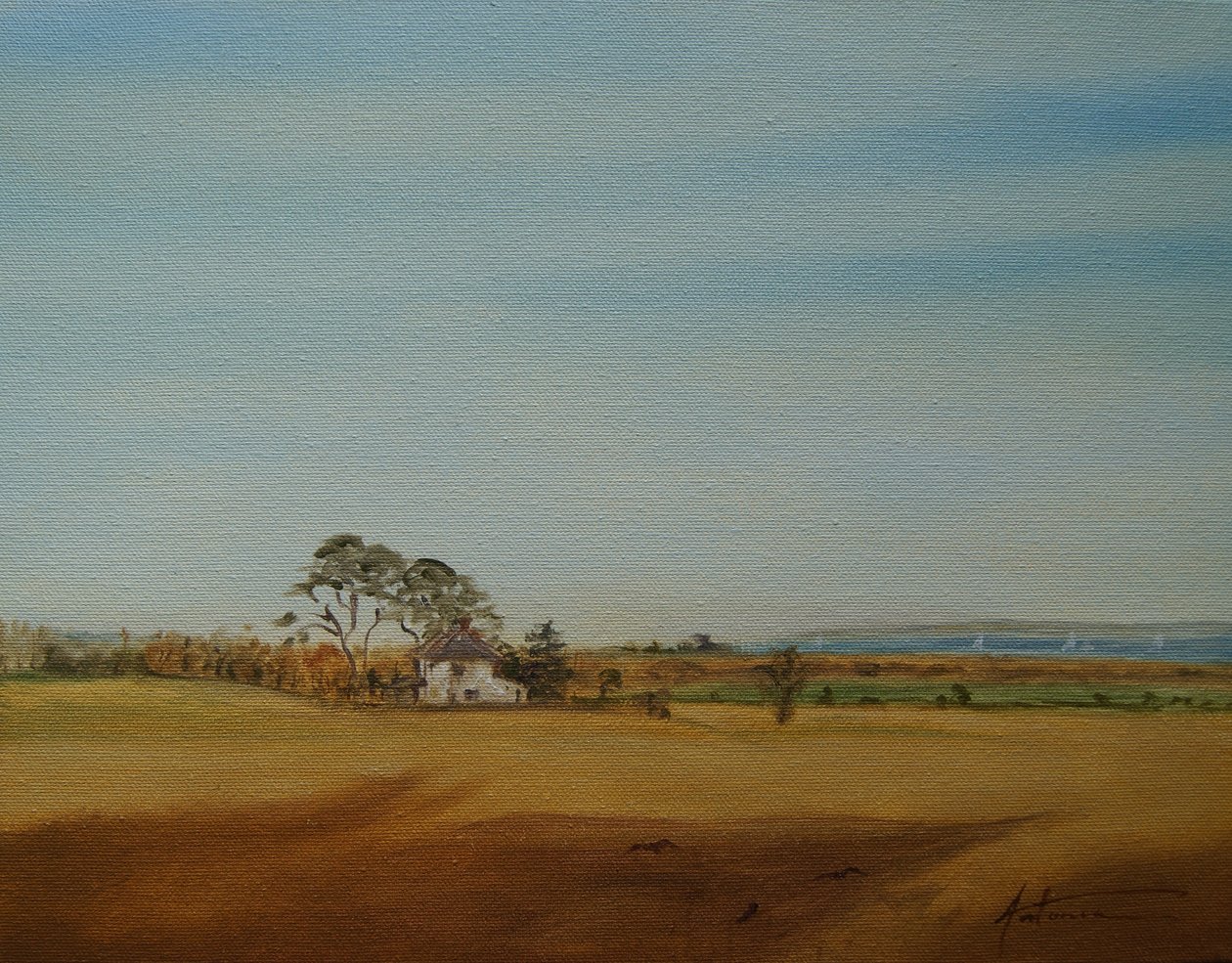Dům a pole, 2016 od Antonia Myatt