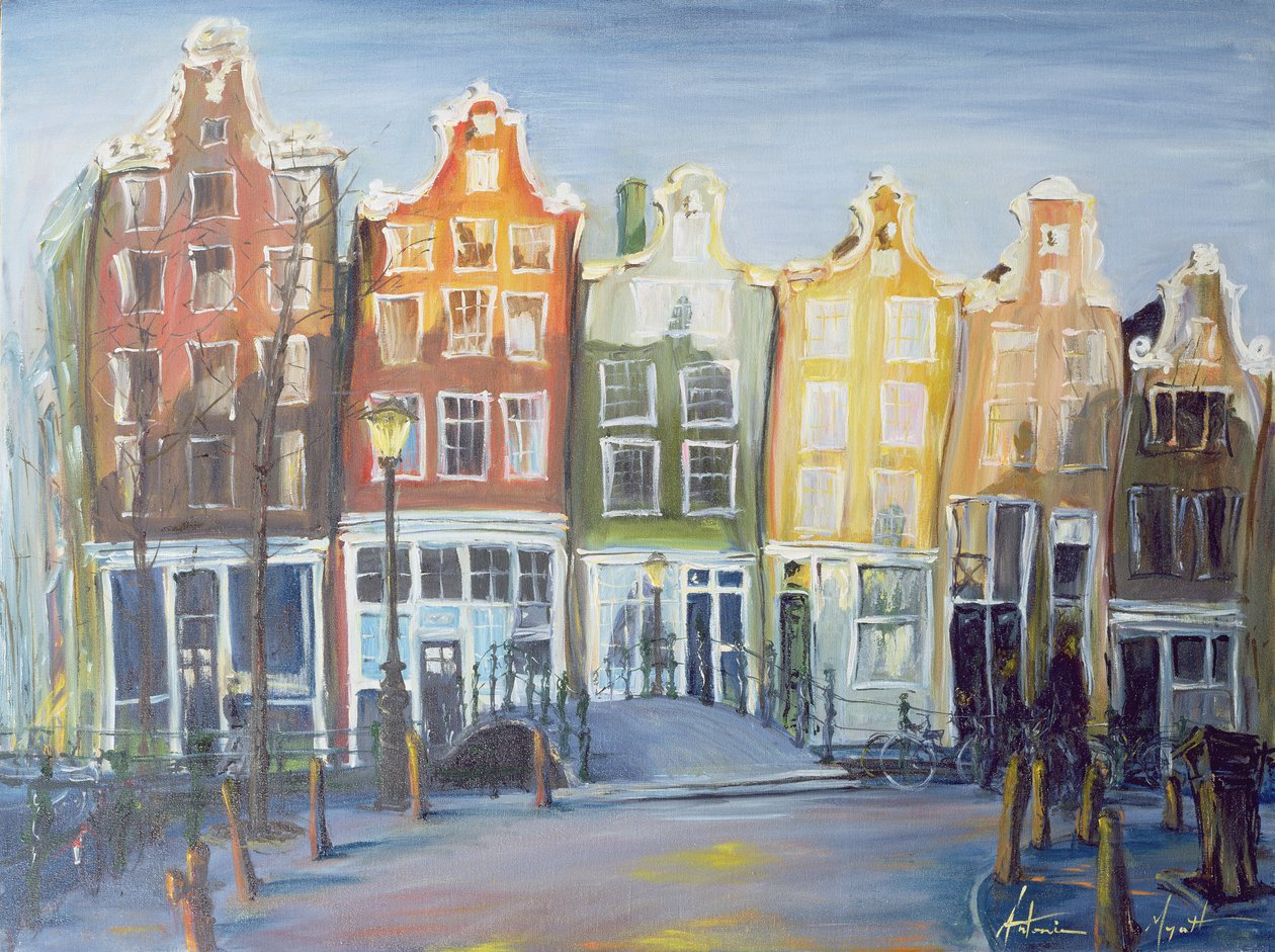 Houses of Amsterdam, 1999 od Antonia Myatt