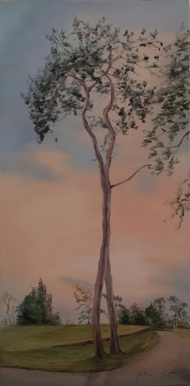 Tapeley Park stromy, 2013 (olej na plátně) od Antonia Myatt