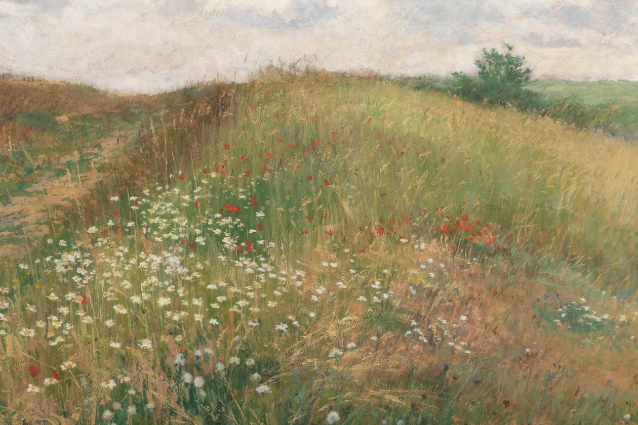 Léto, 1897. od Antonin Slavicek