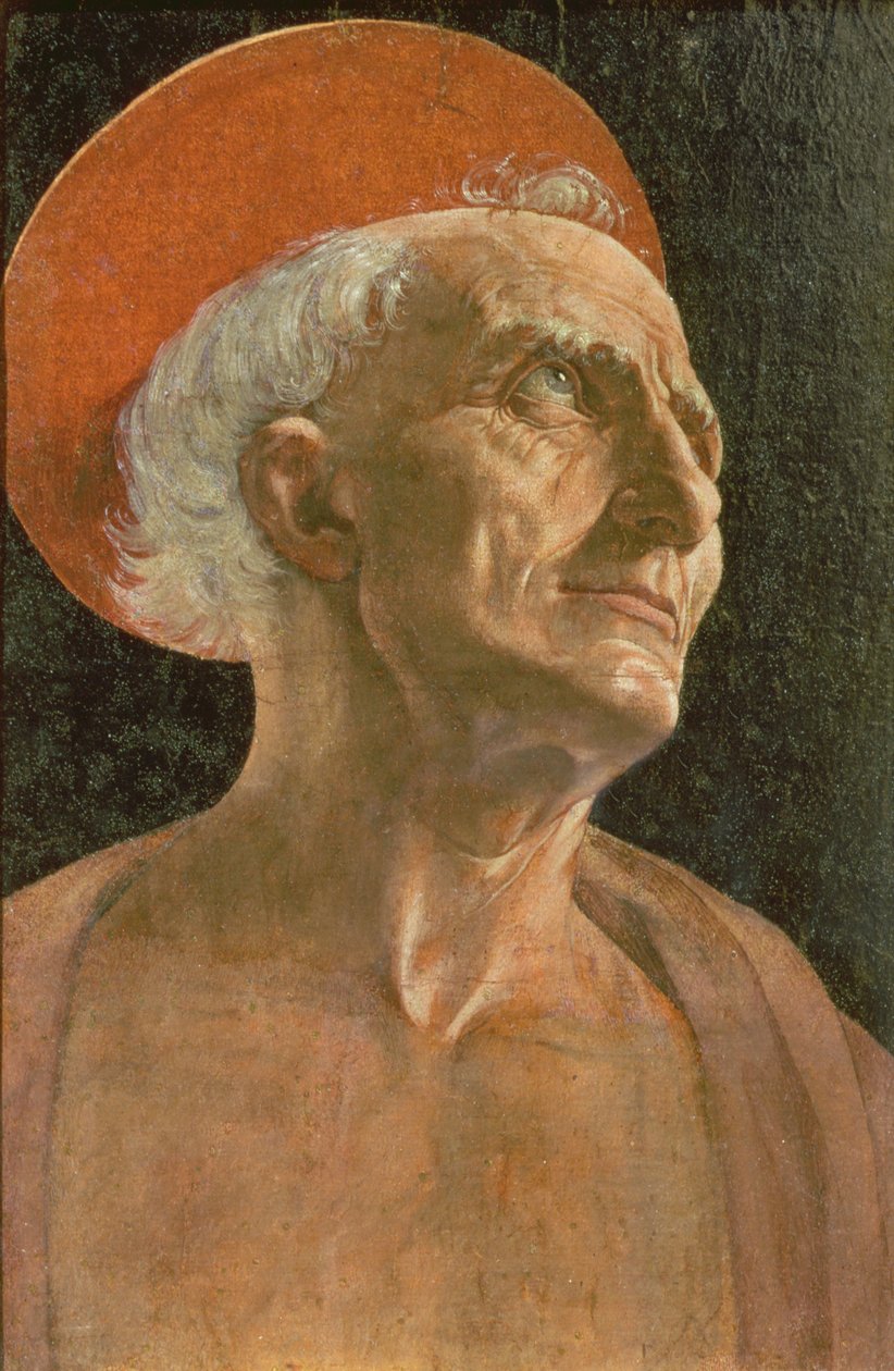 Svatý Jeroným od Antonio Pollaiuolo