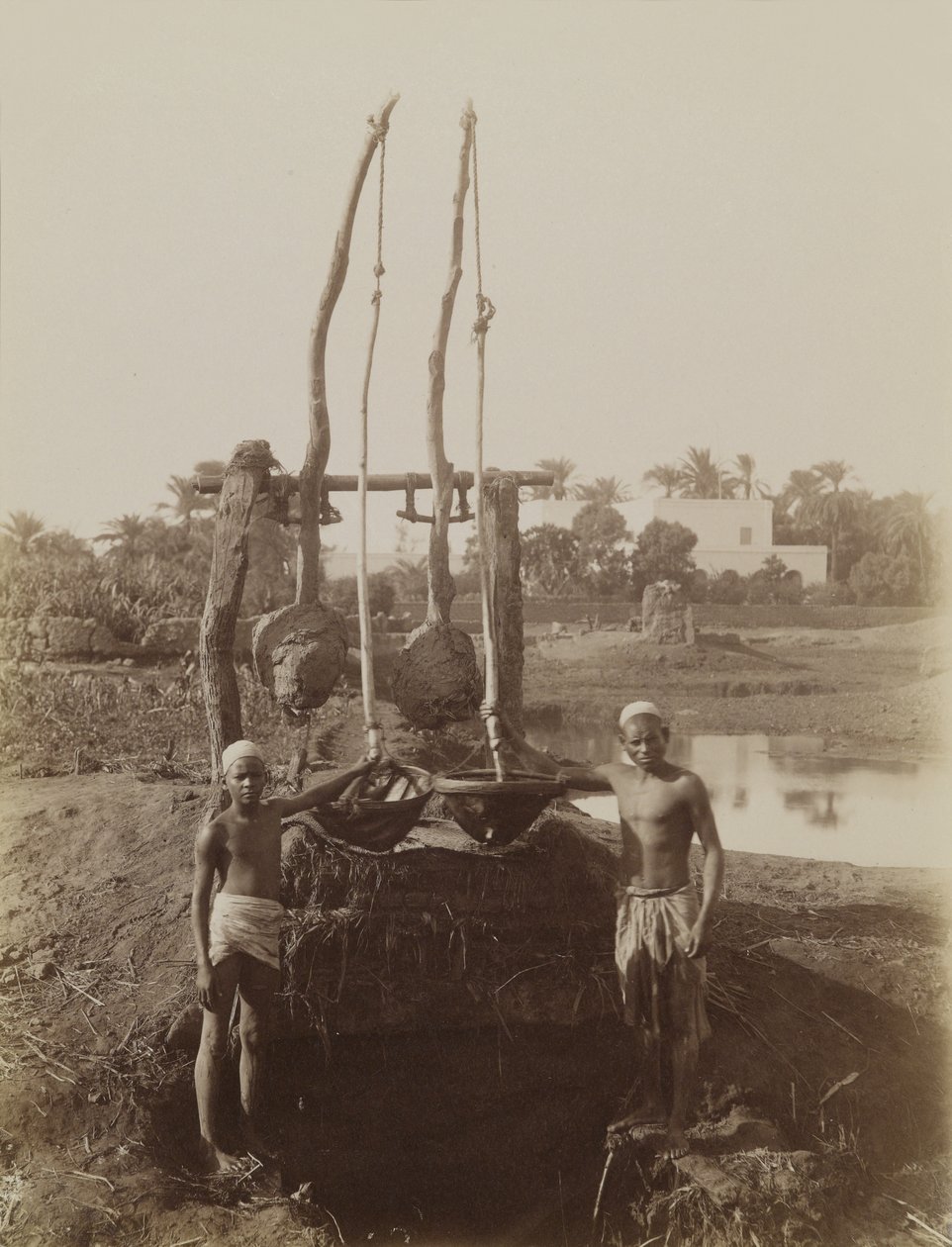 Sehadouf, Luxor od Antonio Beato