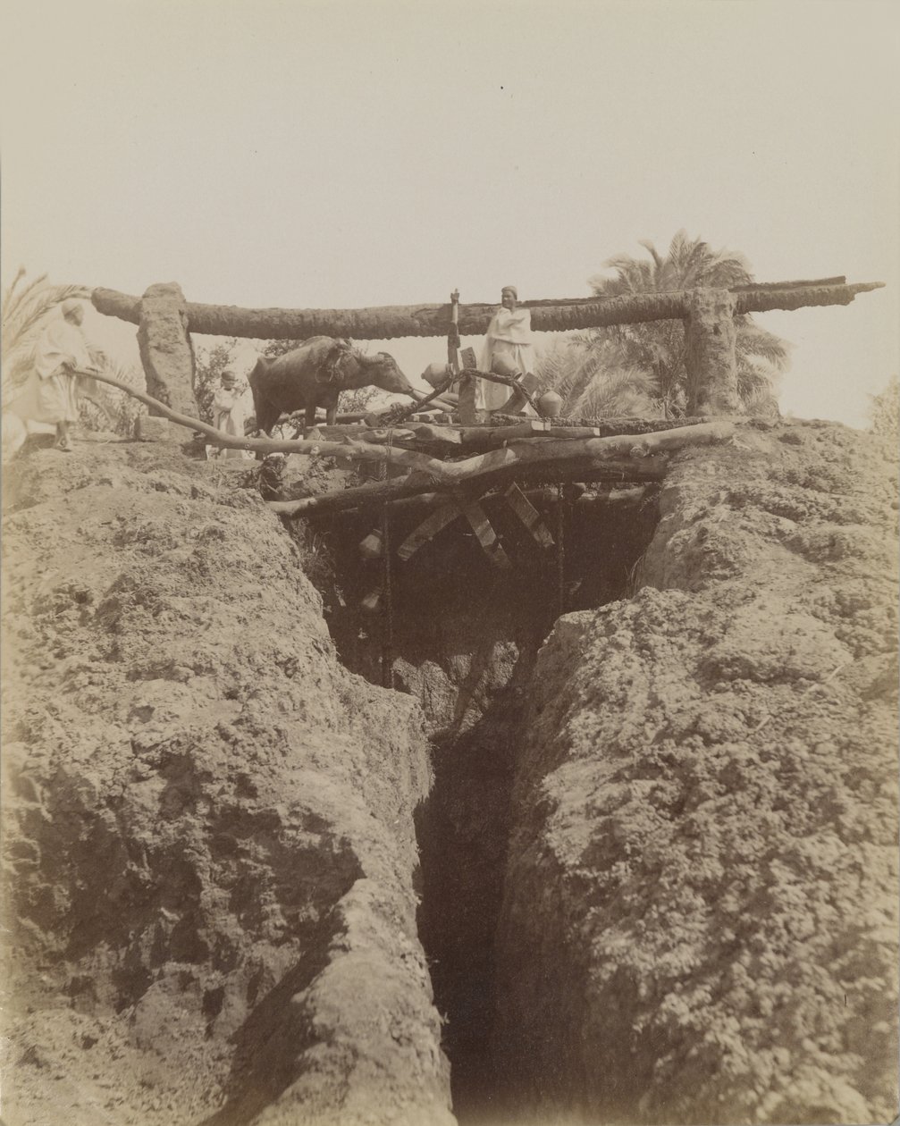 Sehaquieh, Egypt od Antonio Beato