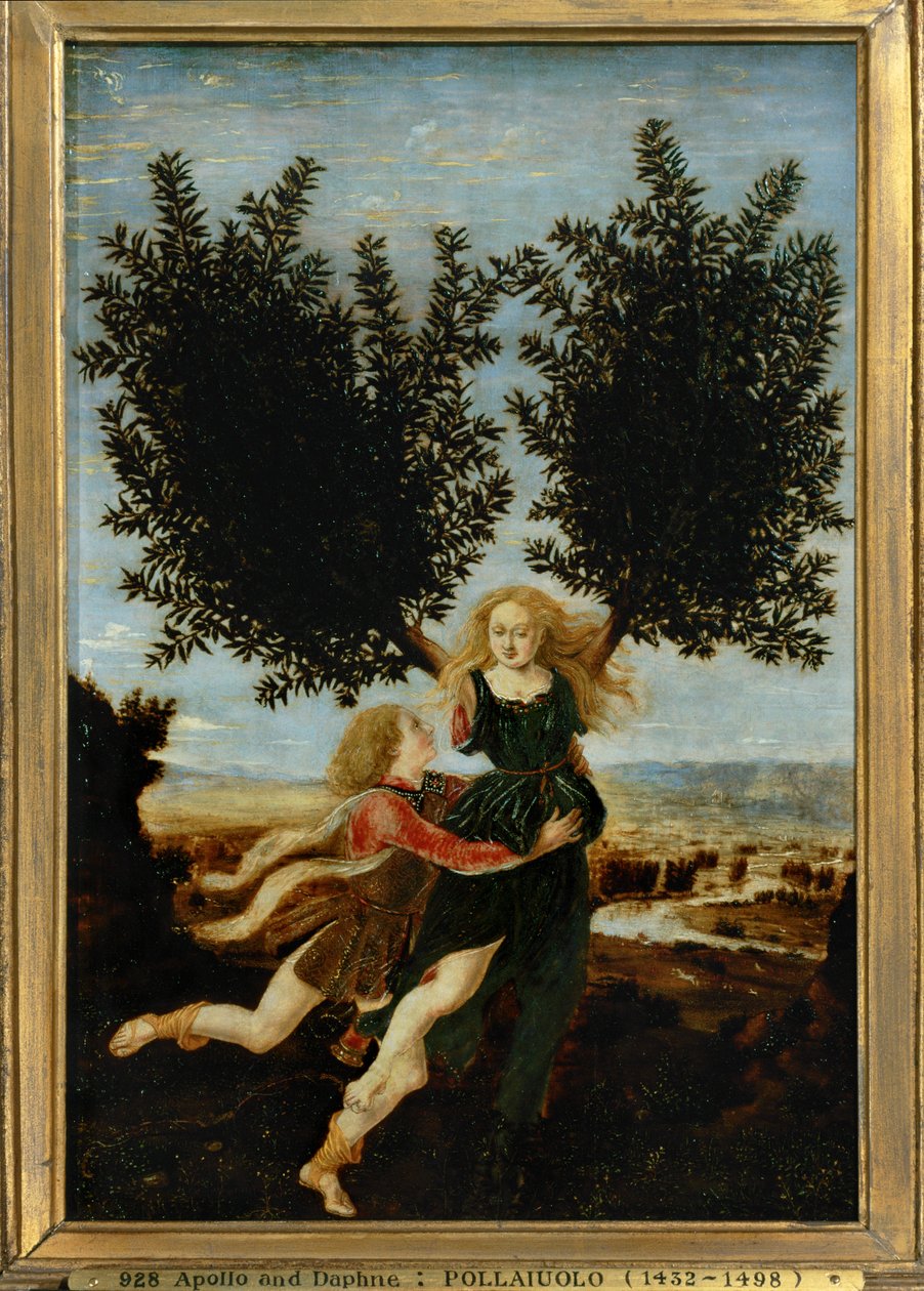 Apollo a Dafné ... (malba na plátně) od Antonio Pollaiuolo