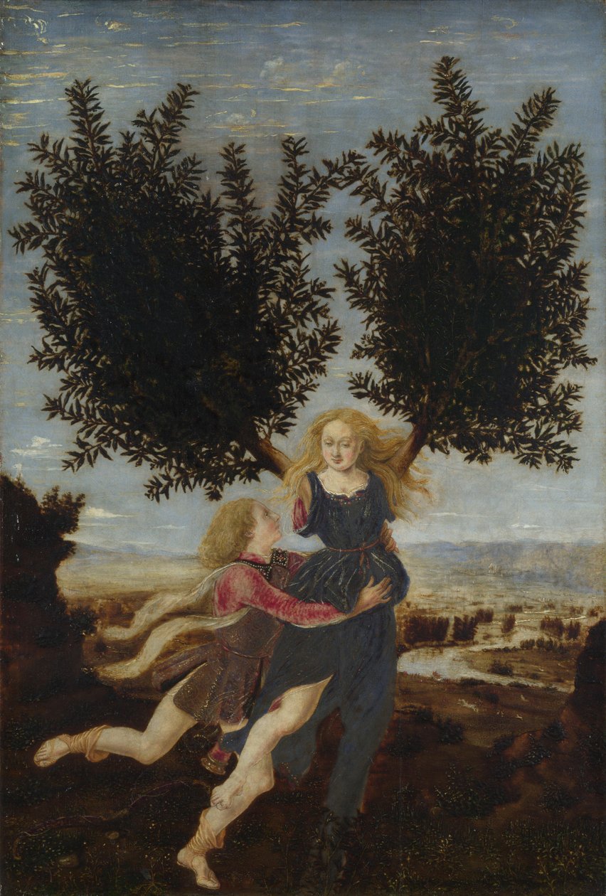Apollo a Daphne, ca. 1470-1480 od Antonio Pollaiuolo