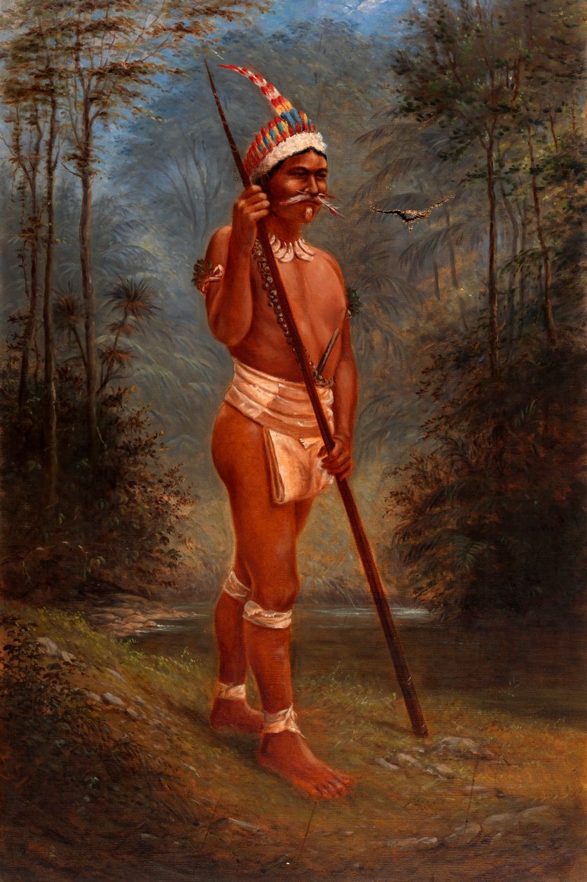 Zaparo Stock, ca. 1893. od Antonio Zeno Shindler