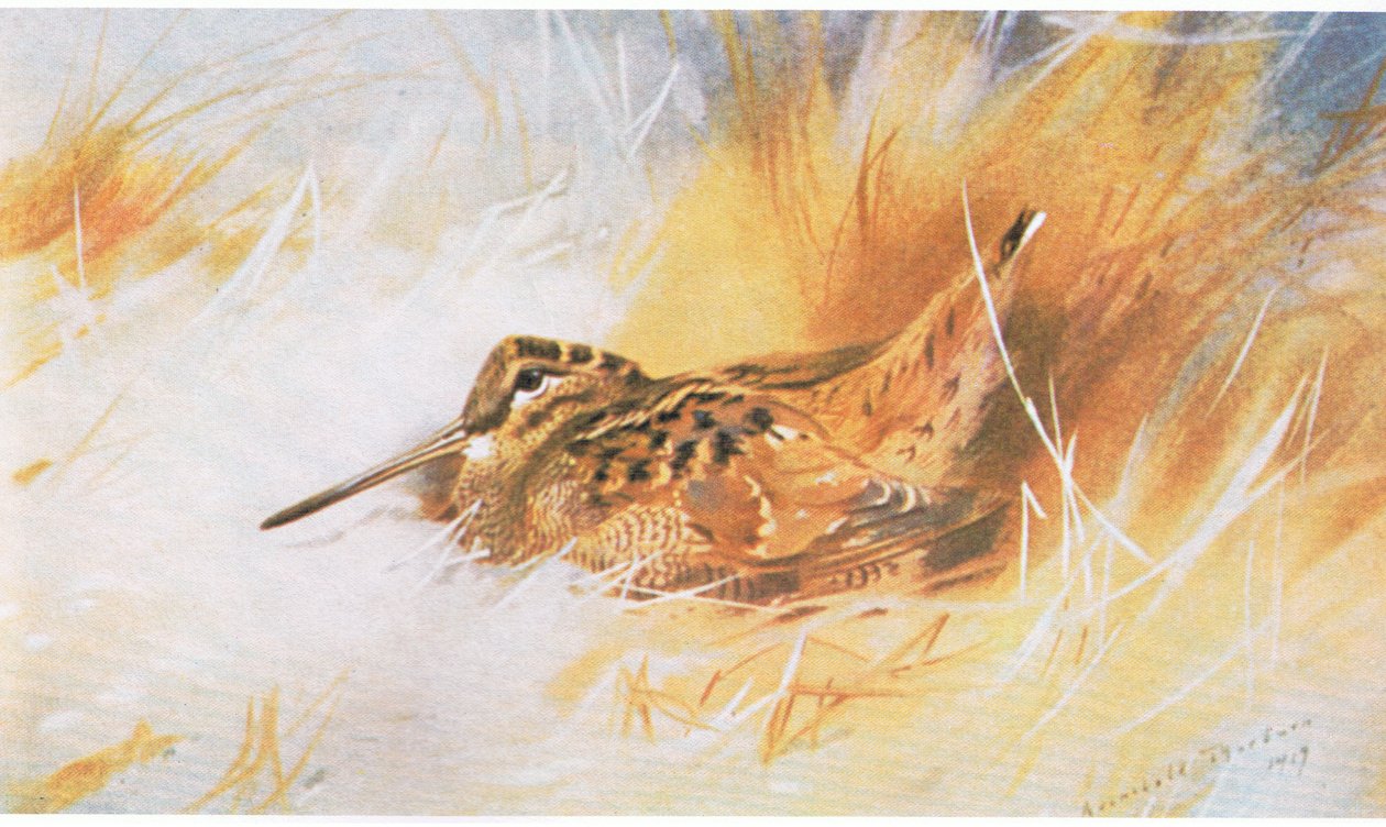 Woodcock, hospoda. od Book Club Associates, 1972 od Archibald Thorburn