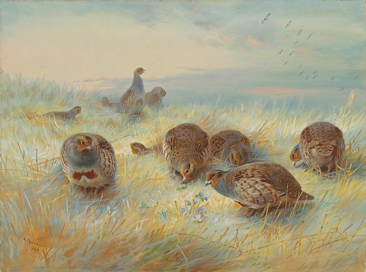 Mrazivé svítání od Archibald Thorburn