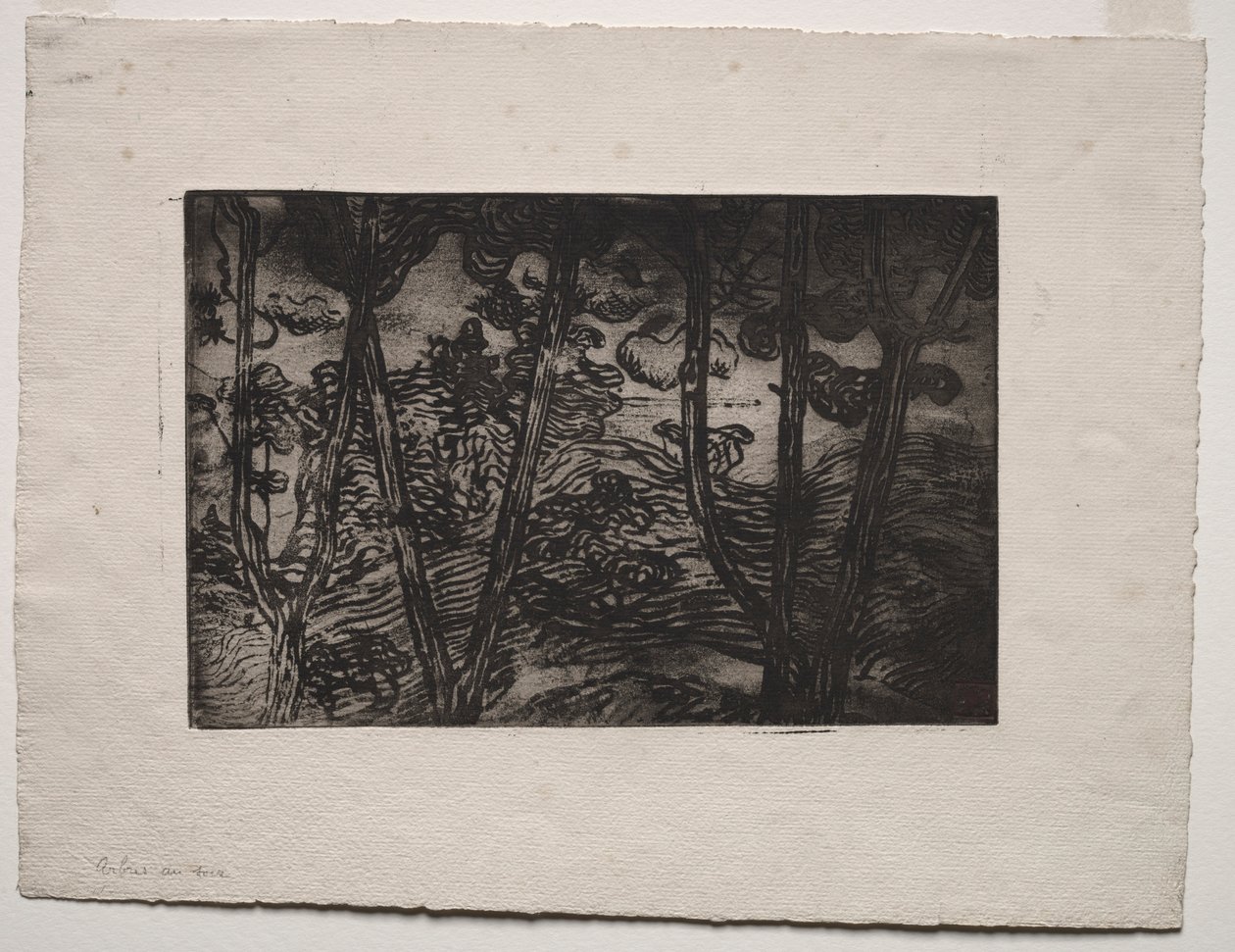 Stromy v noci, c. 1894. od Armand Séguin