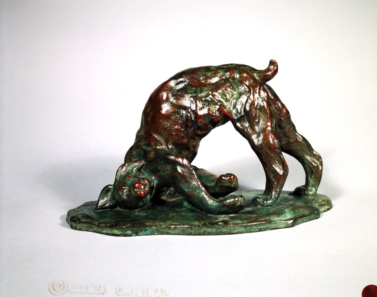 Skunked Lynx, 1909 (bronz) od Arthur Putnam