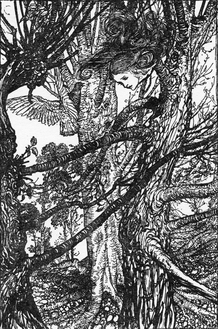 Alenka s dobrodružstvím v říši divů od Lewise Carrolla od Arthur Rackham