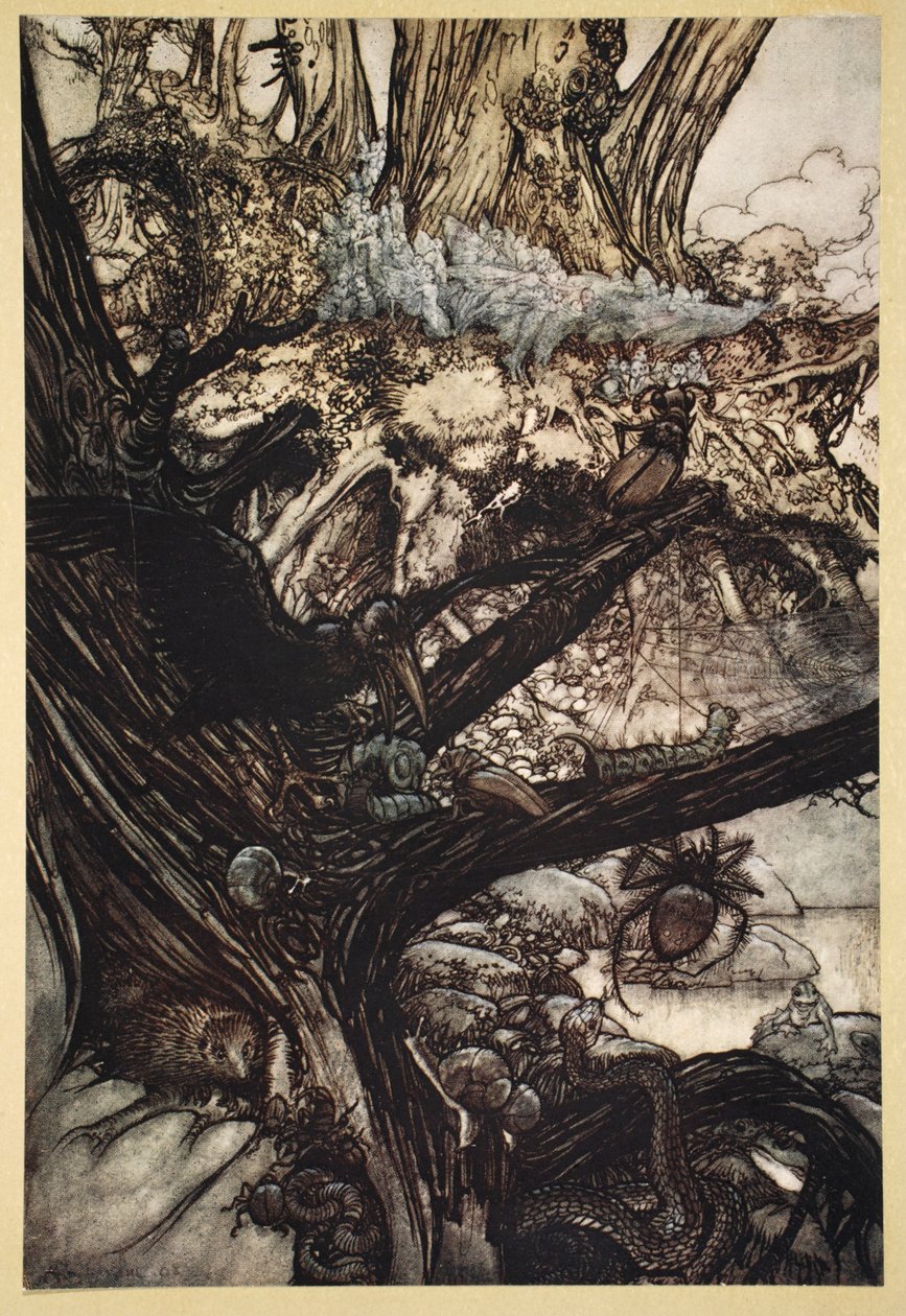 Never harm, Nor spell nor charm, Come our lovely lady nigh, ilustrace ze Snu noci svatojánské Williama Shakespeara, 1908. od Arthur Rackham