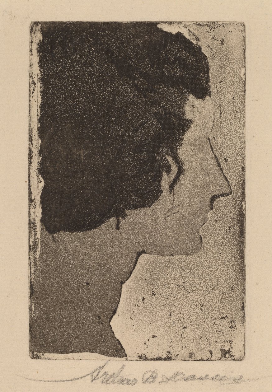 Profil od Arthur B. Davies