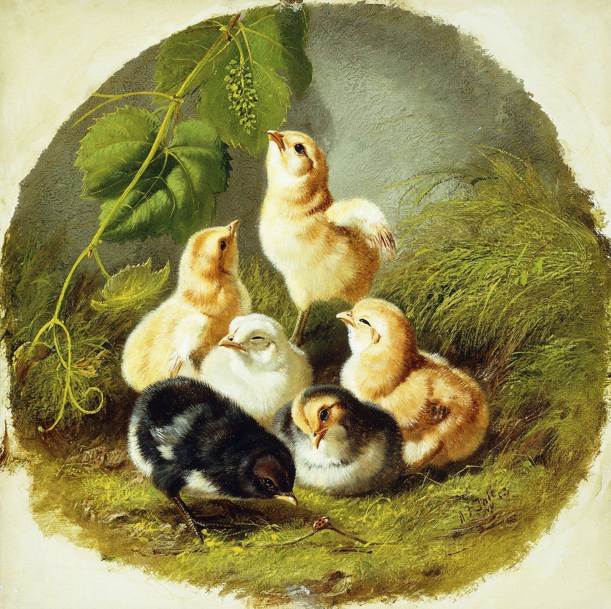 Kuřátka, 1863 od Arthur Fitzwilliam Tait