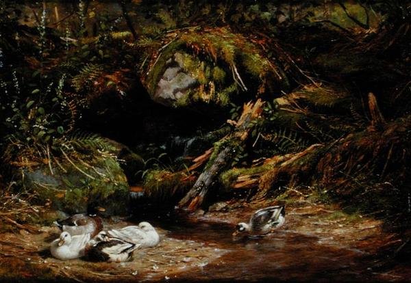 Kachny na Spring Head od Arthur Fitzwilliam Tait