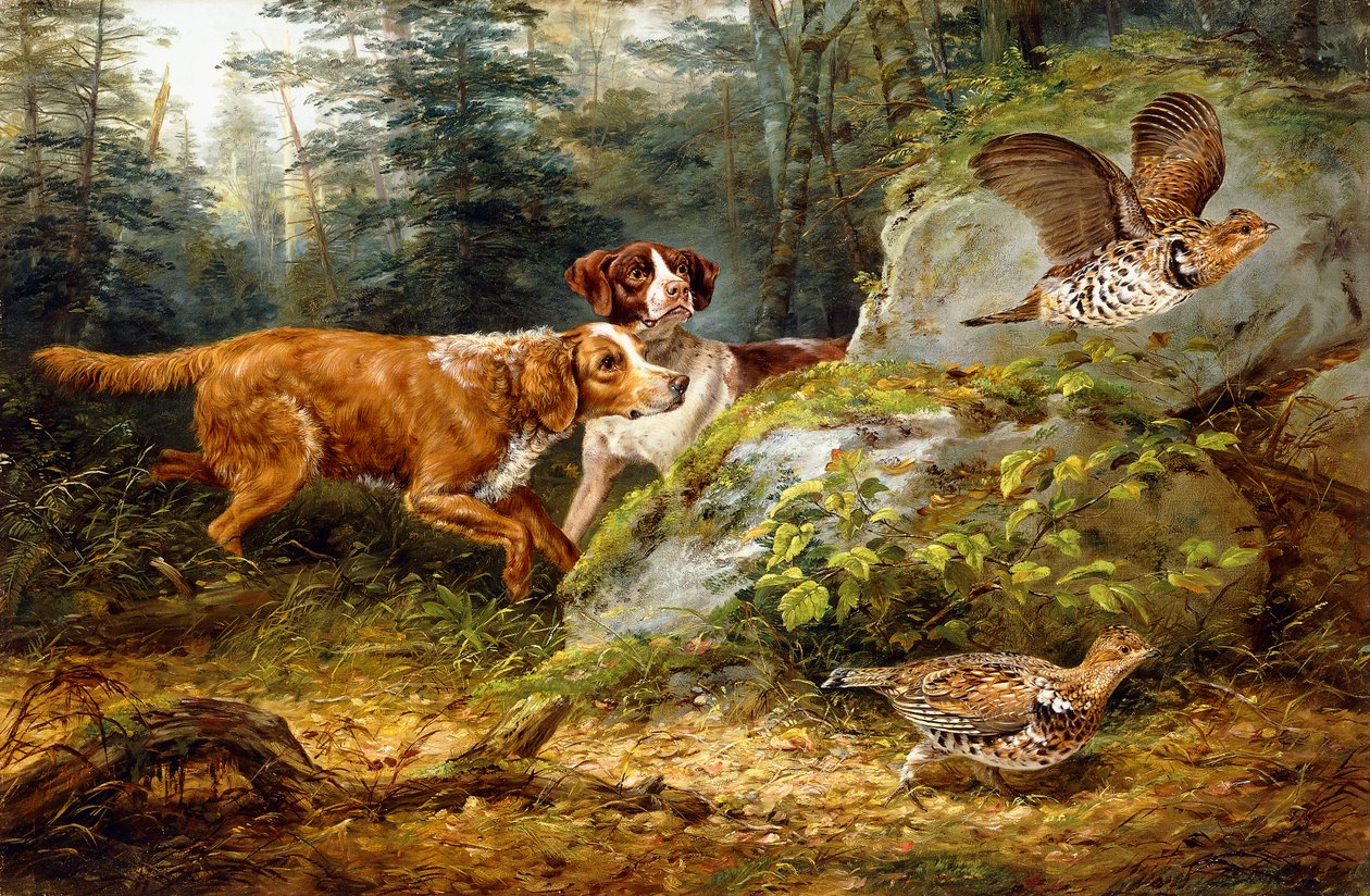Flushed: Ruffed Grouse Shooting, 1857 od Arthur Fitzwilliam Tait