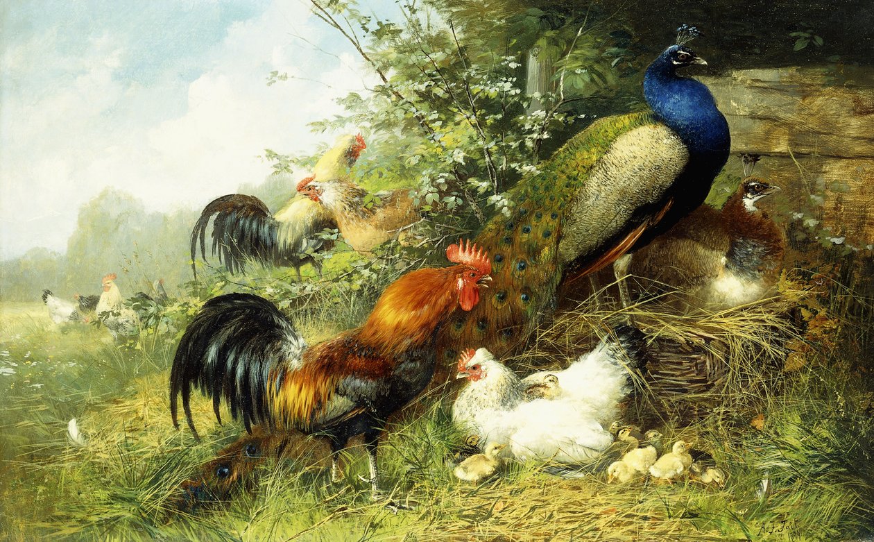 Fowl and Peacocks, 1899 od Arthur Fitzwilliam Tait