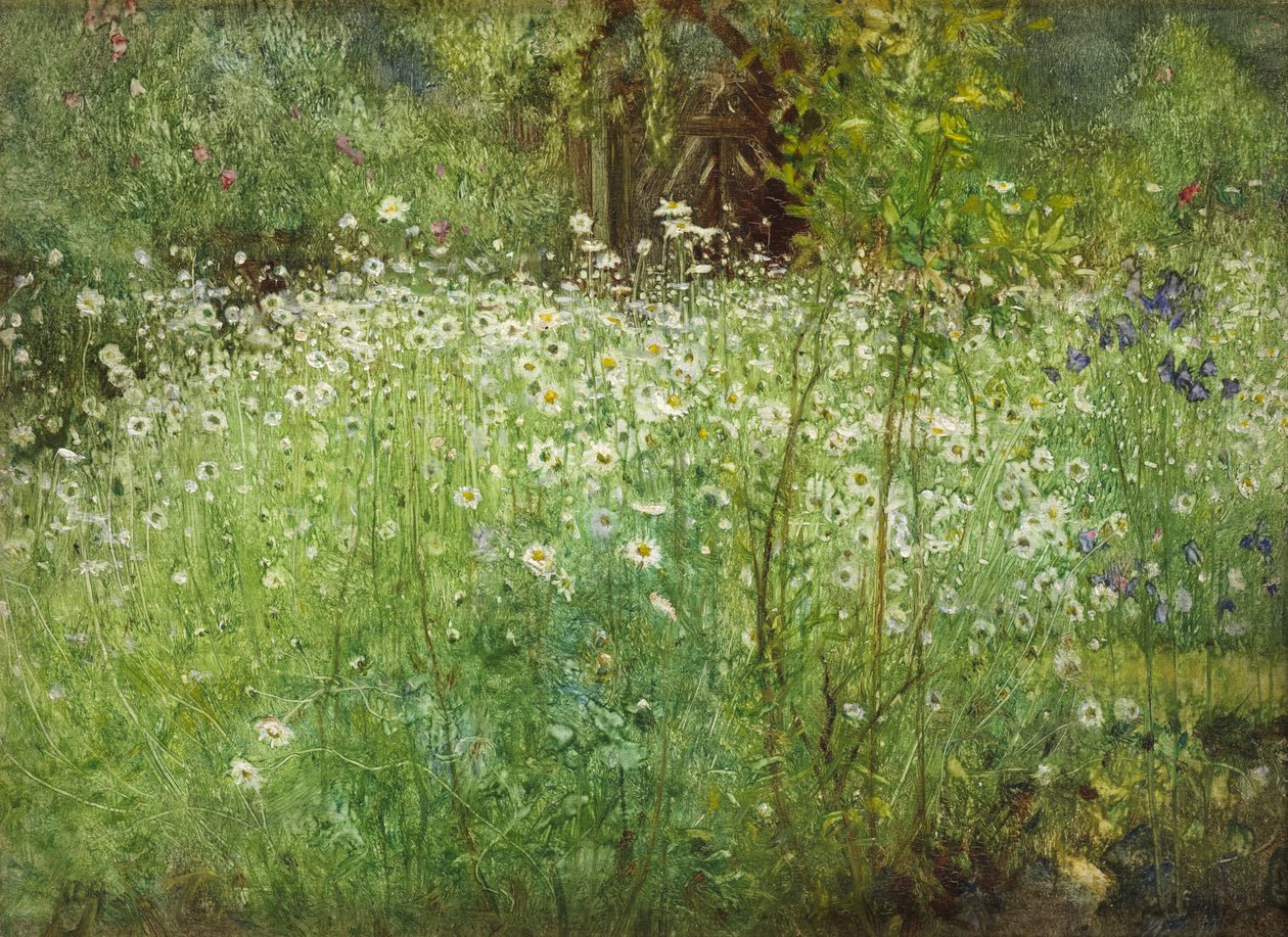 Oxeye Daisies and Irises, 1920 od Arthur Hacker