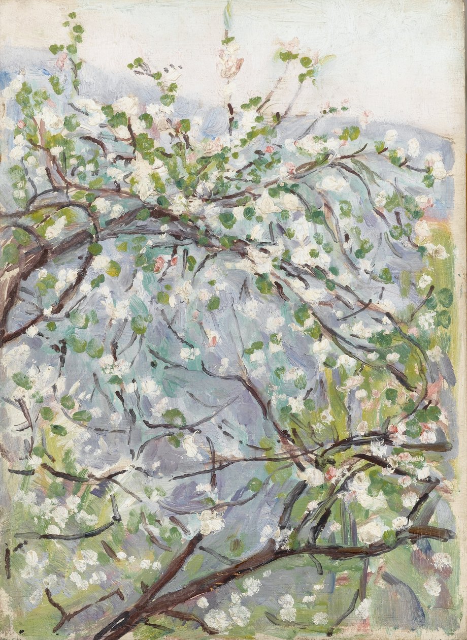 Blossom, kolem roku 1900 od Arthur Haythorne Studd