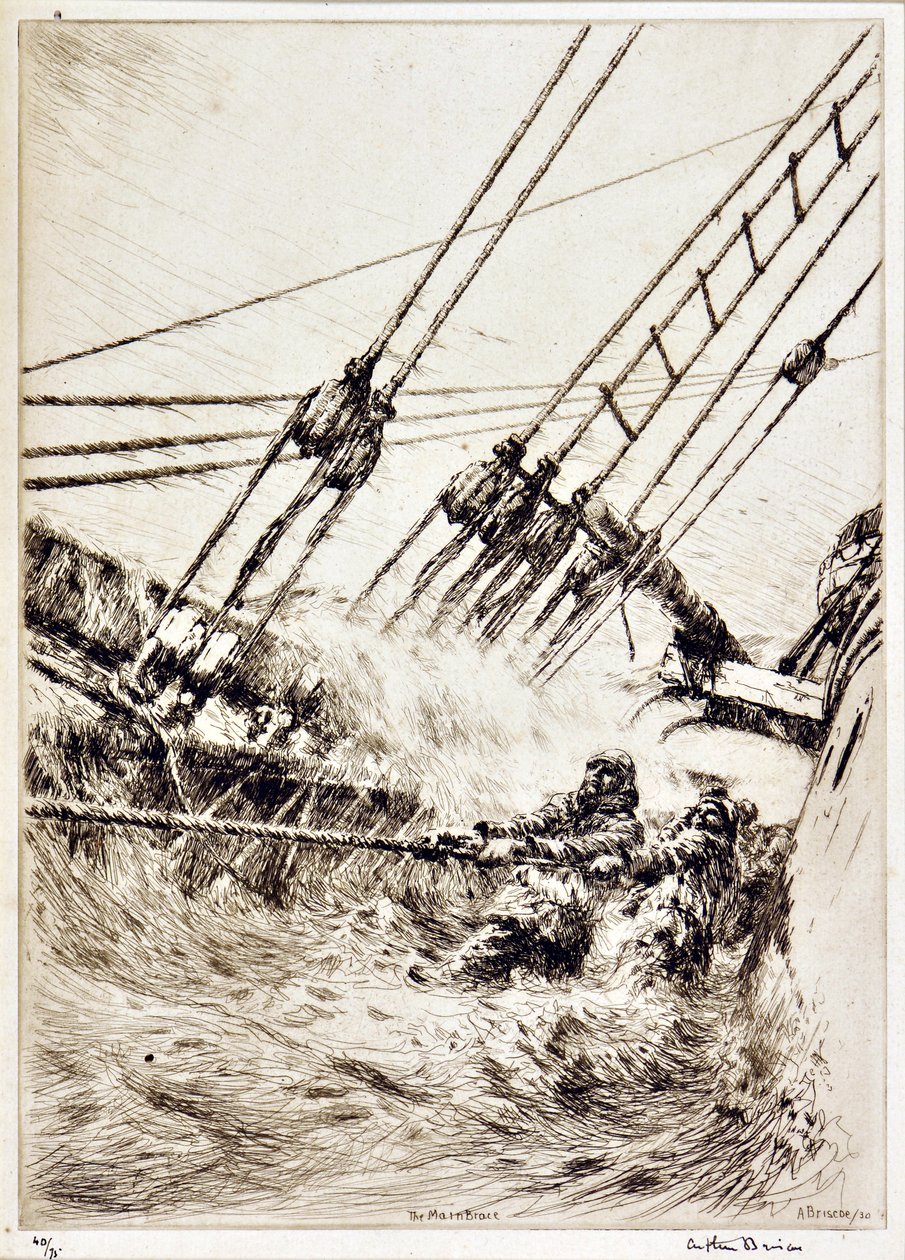 Hlavní ortéza od Arthur John Briscoe
