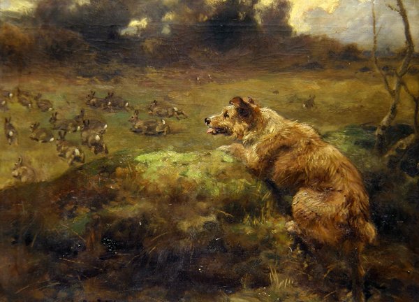 Lovec králíků (olej na plátně) od Arthur John Strutt