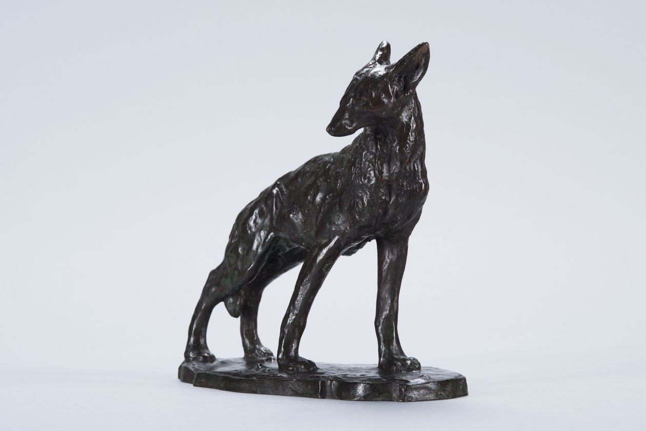 Alert Coyote (bronz) od Arthur Putnam