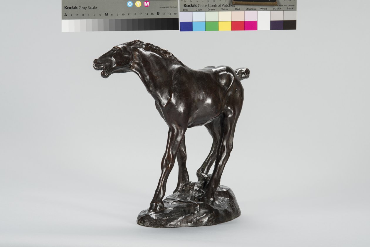 Colt (bronz) od Arthur Putnam