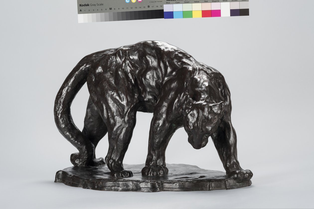 Velká Puma Vonící Ox Track od Arthur Putnam
