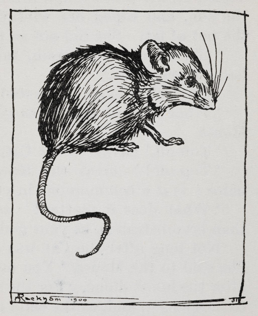 Myš od Arthur Rackham