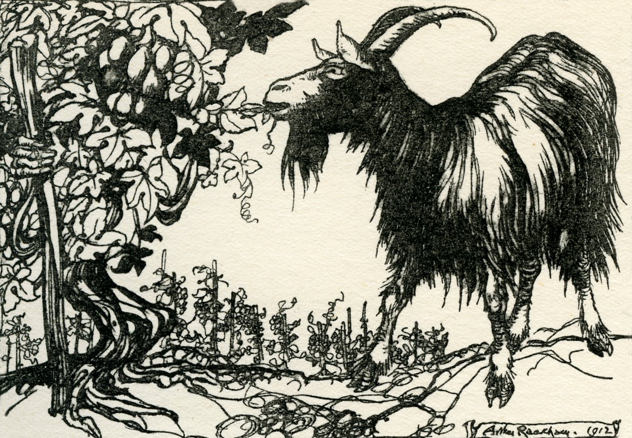 Ezopovy bajky od Arthur Rackham