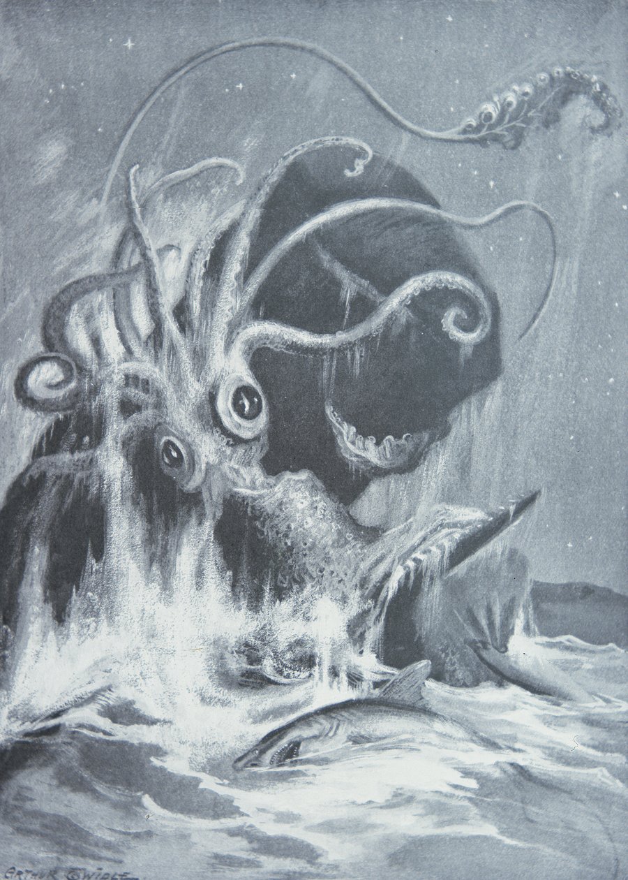 Kraken vs. Vorvaně od Arthur Twidle