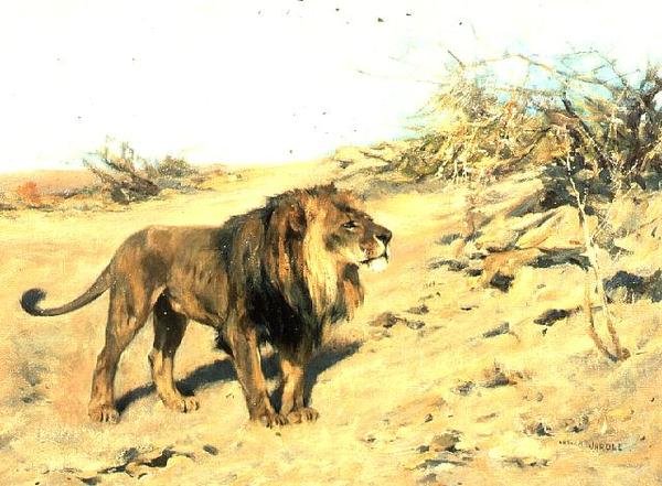 Lev mezi křovinami od Arthur Wardle