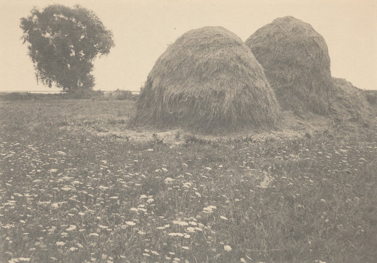 Haystacks, Ipswich,c. 1894 (foto) od Arthur Wesley Dow