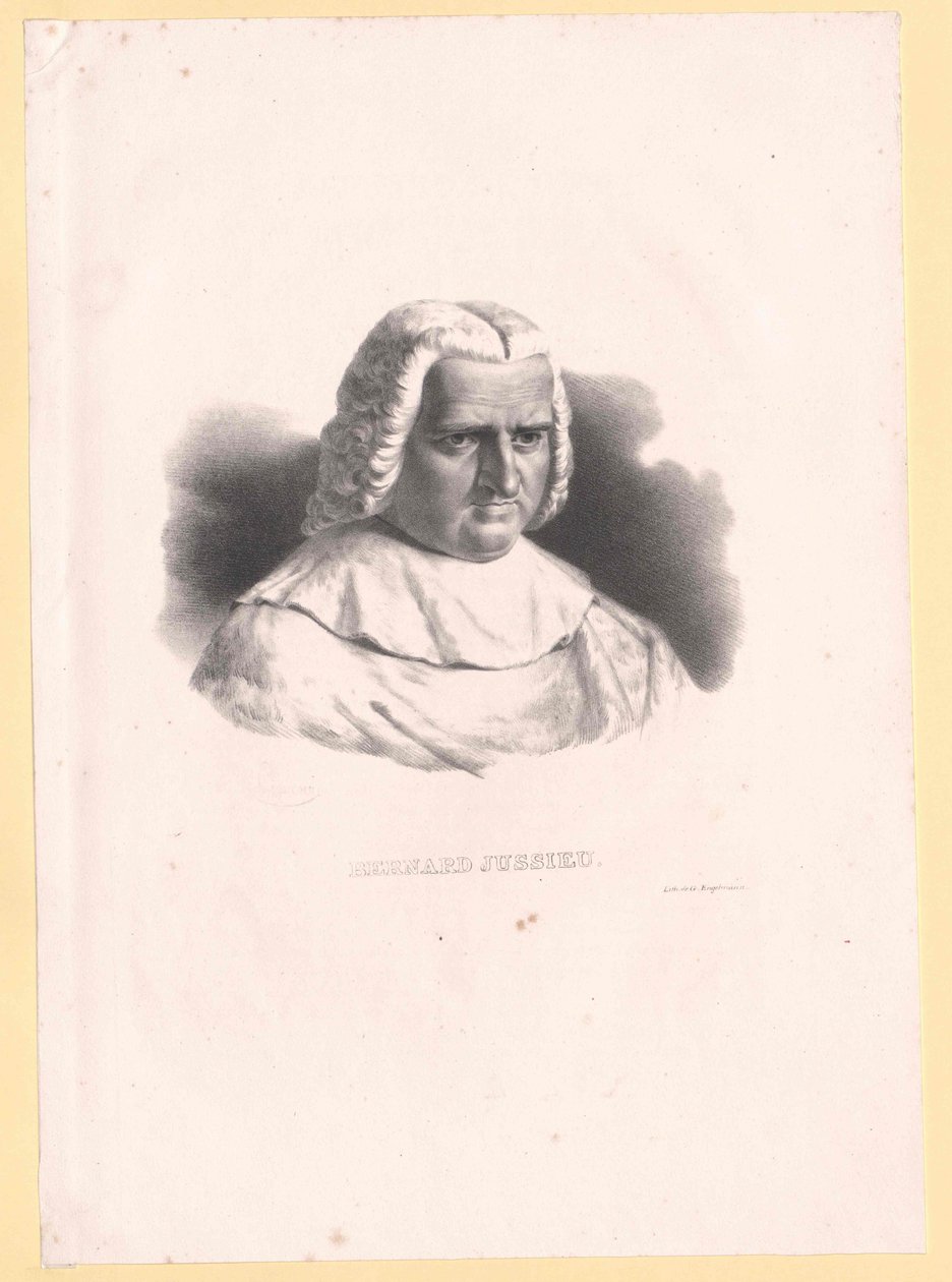 Bernard de Jussieu od Artist Unknown