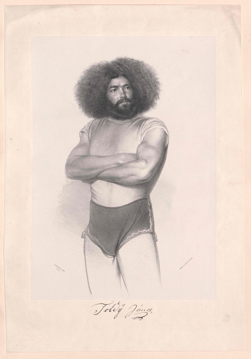 Janos Toldy od Artist Unknown