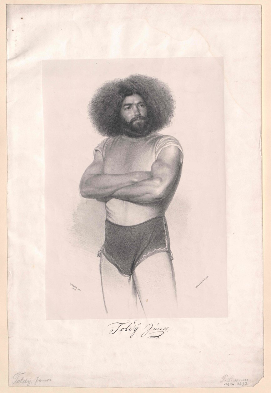 Janos Toldy od Artist Unknown