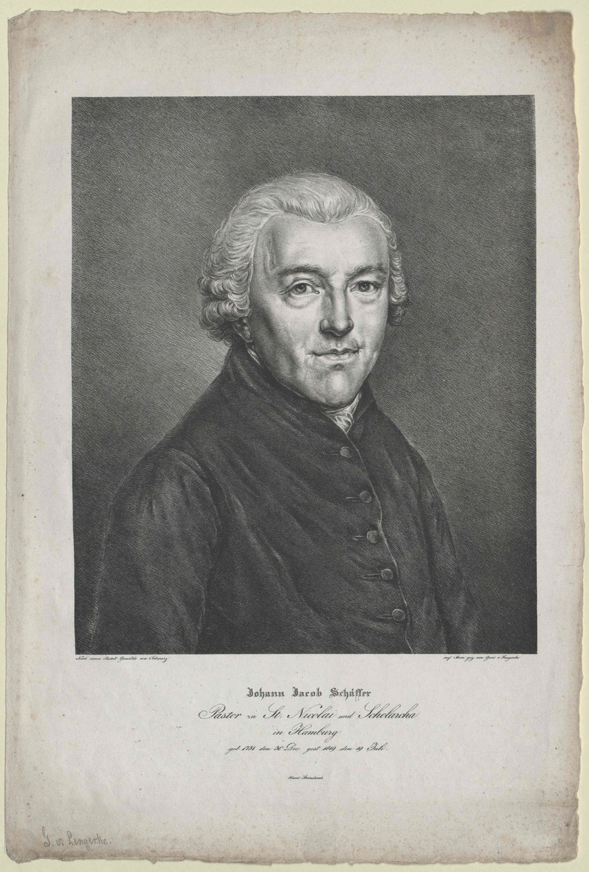 Johann Jakob Schaeffer od Artist Unknown